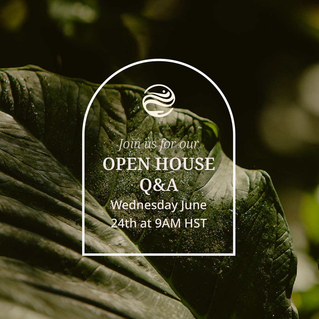 Open House June 24th