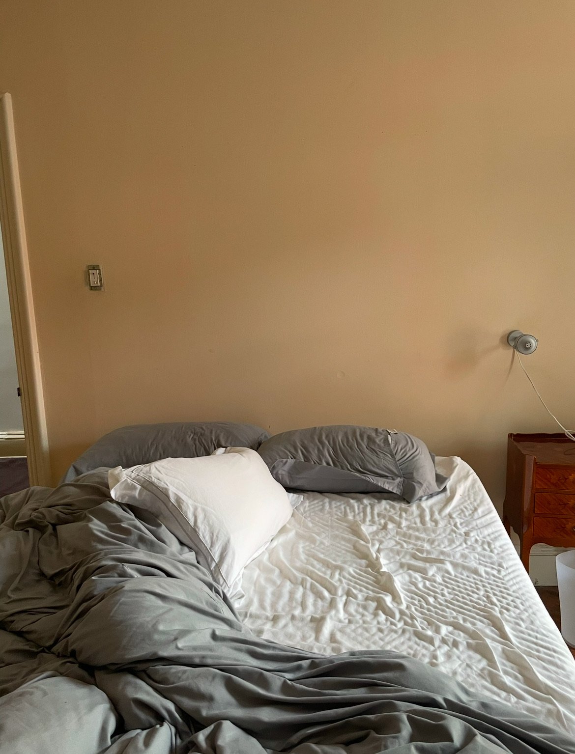 IMG_7444.jpeg