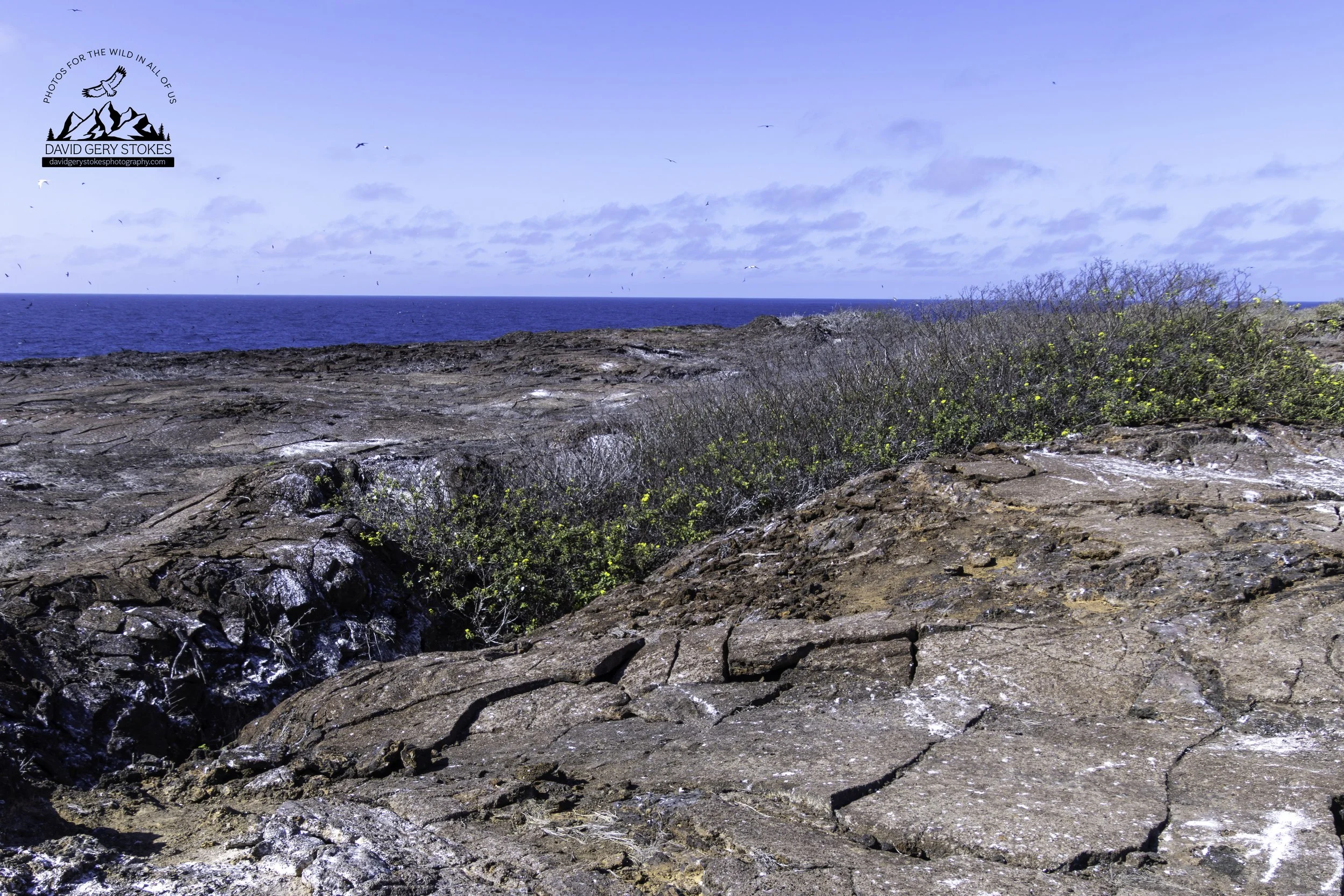 El Barranco, Genovesa Island.