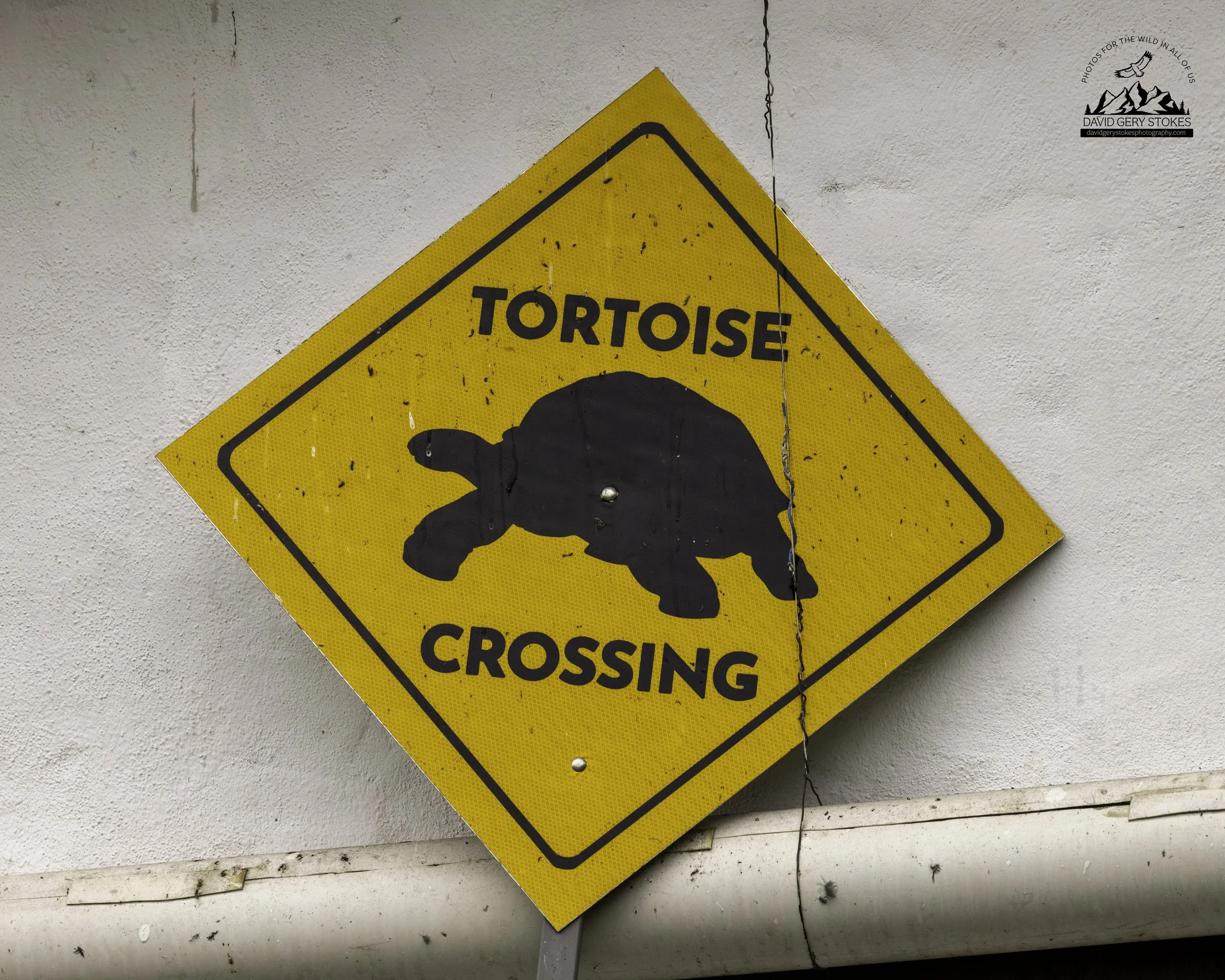 2986 Tortoise Crossing