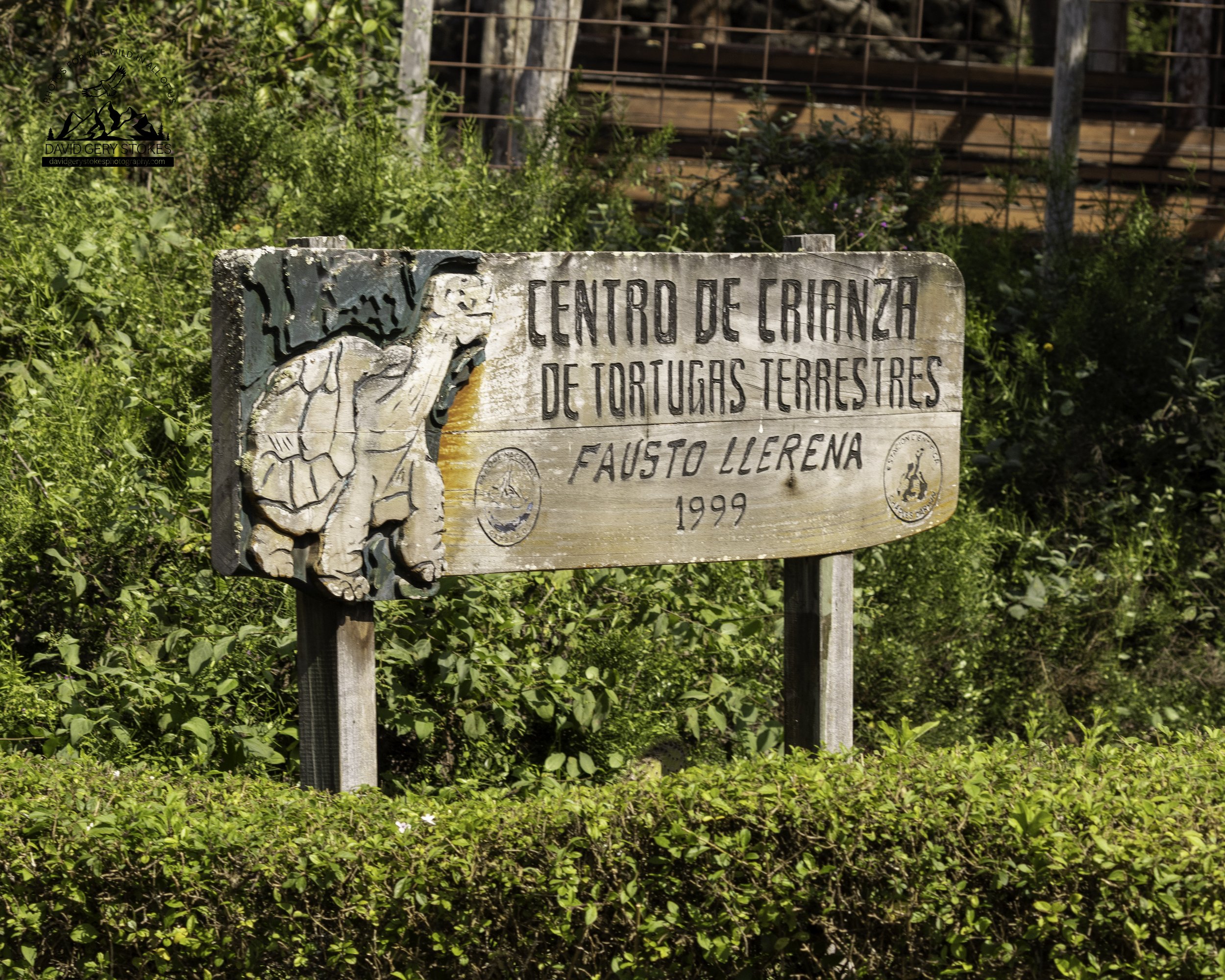 Puerto Ayora, Santa Cruz Island.