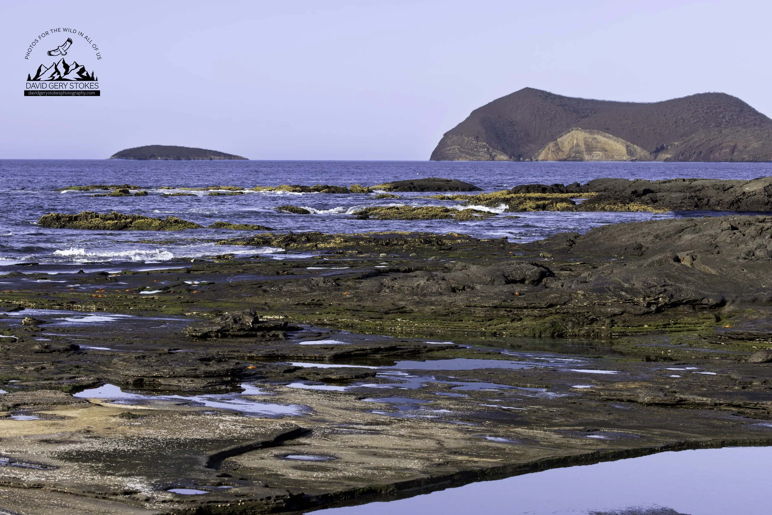 Puerto Egas, Santiago Island.