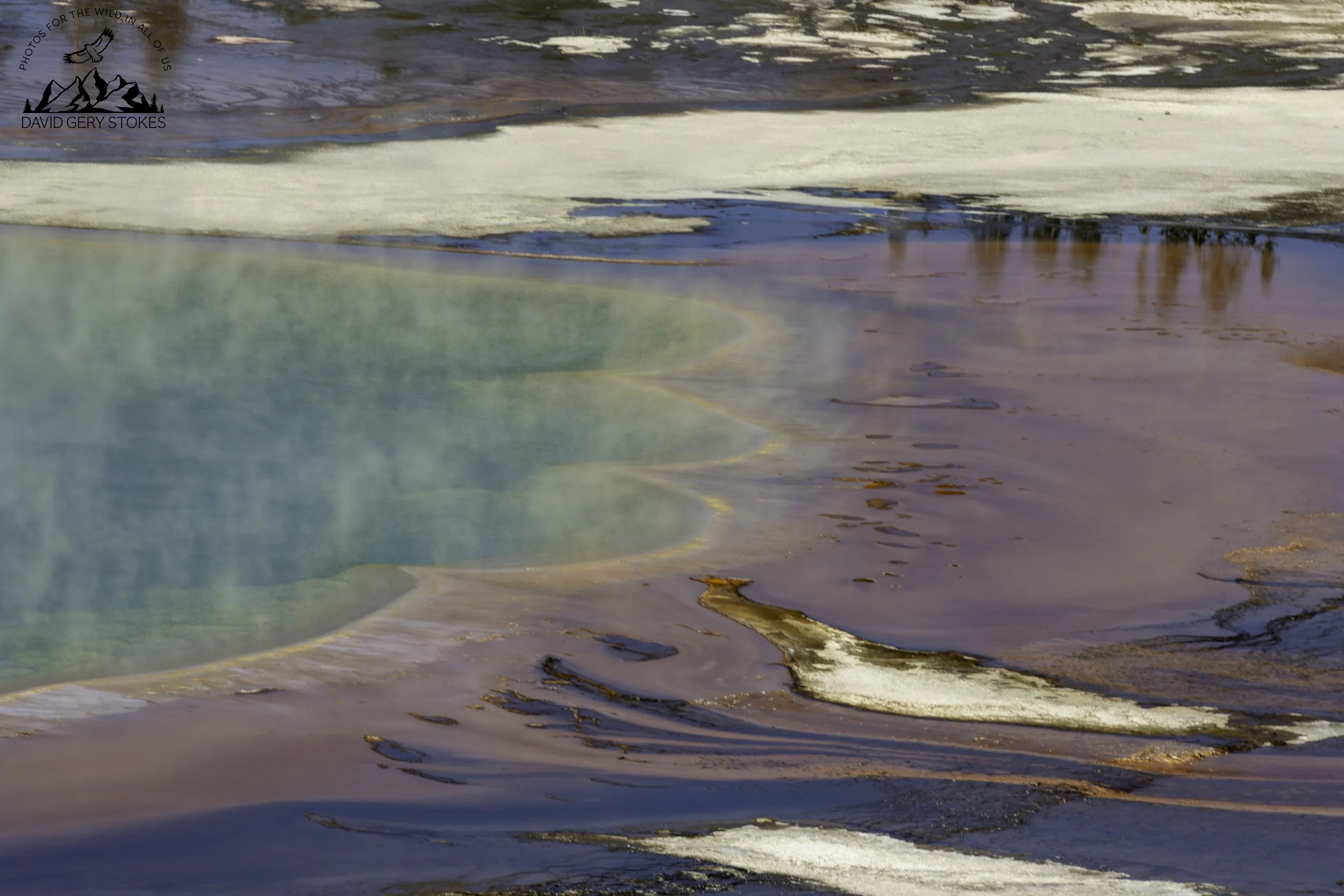 Mist_Pool_YGT6_1493.jpg