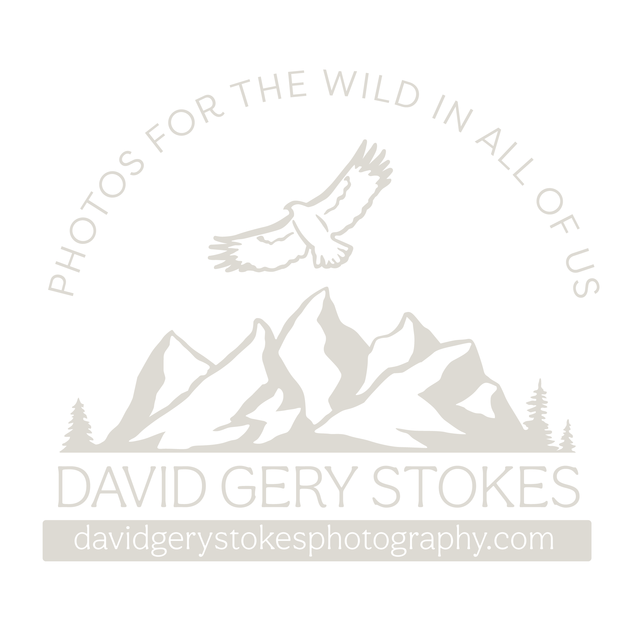 DGS Photo Logo Tan.png