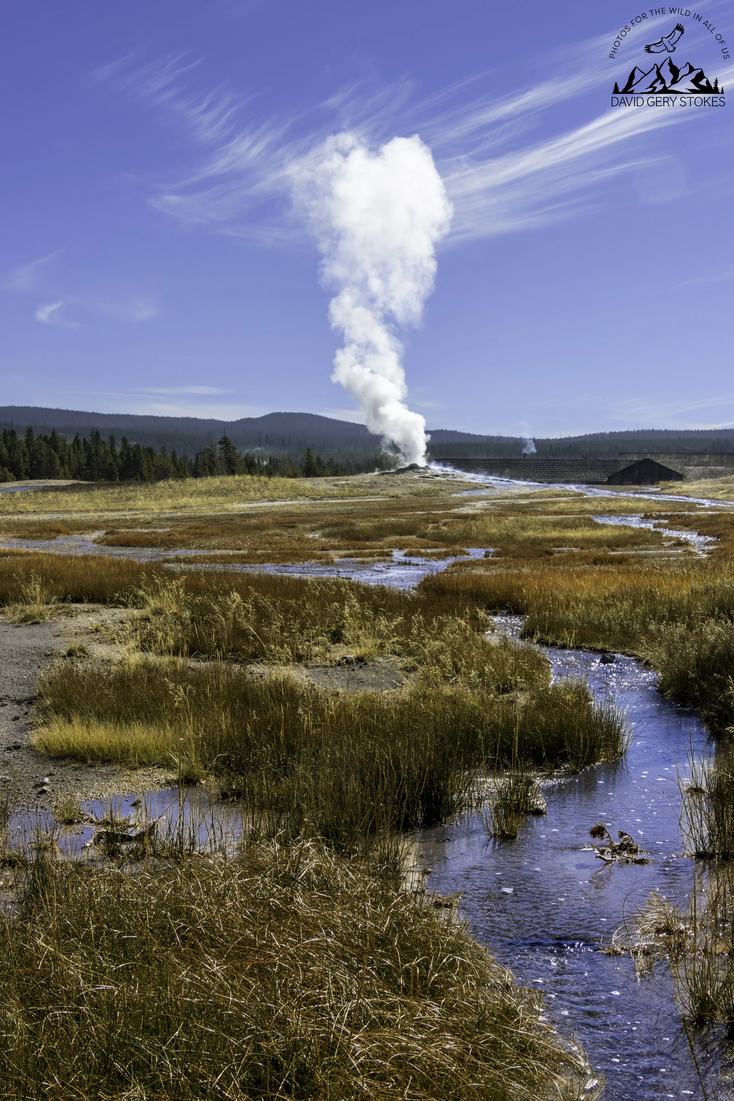 Old_Faithful_Dist_YGT5_1296.jpg