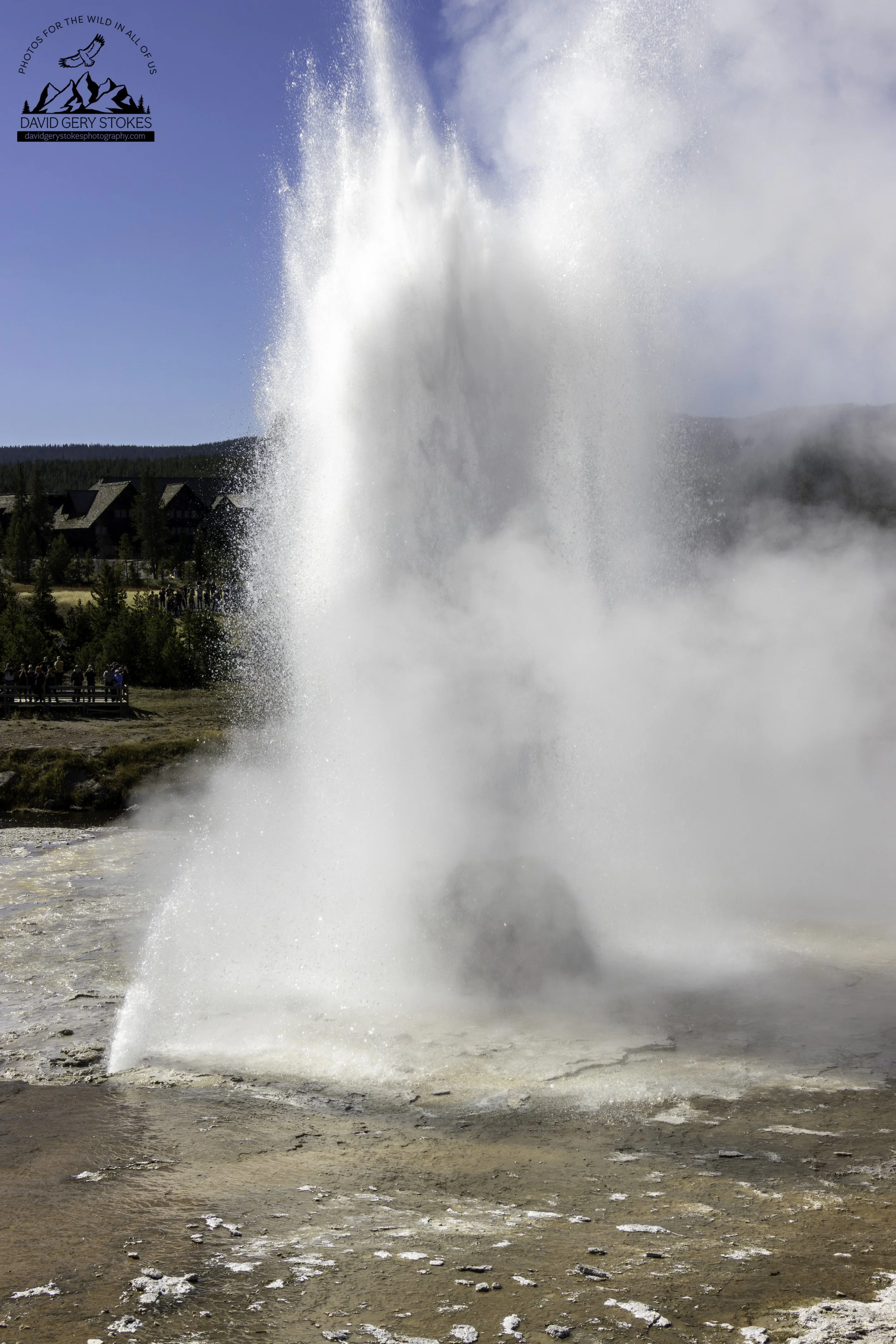 BeeHive_Geyser_YGT6_1344.jpg