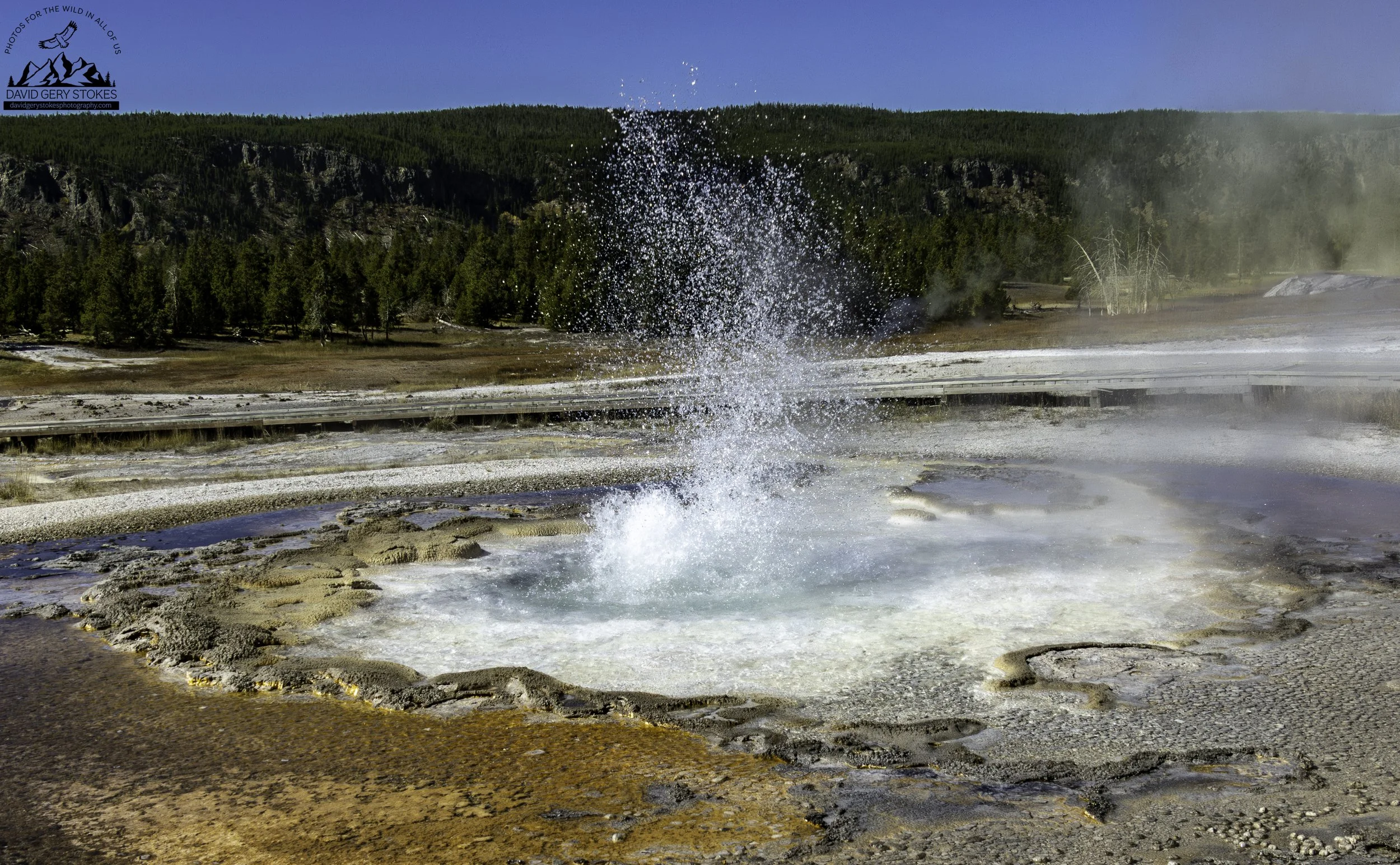 Bubbling_Pool_YGT6_1386.jpg