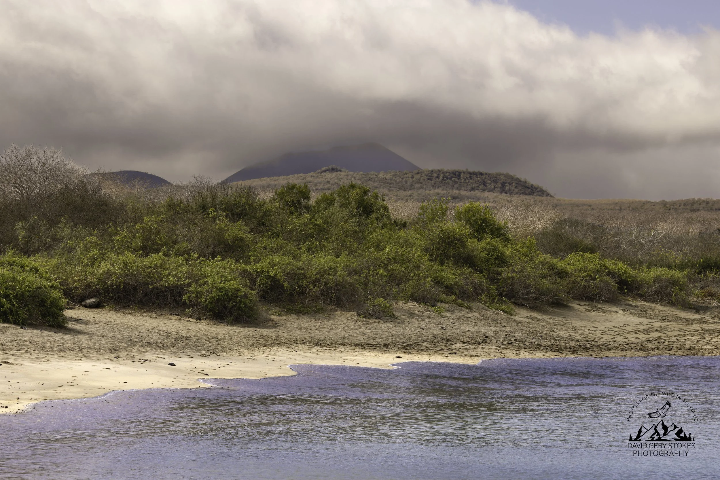 Post Office Bay & Cormorant Point, Floreana Island.