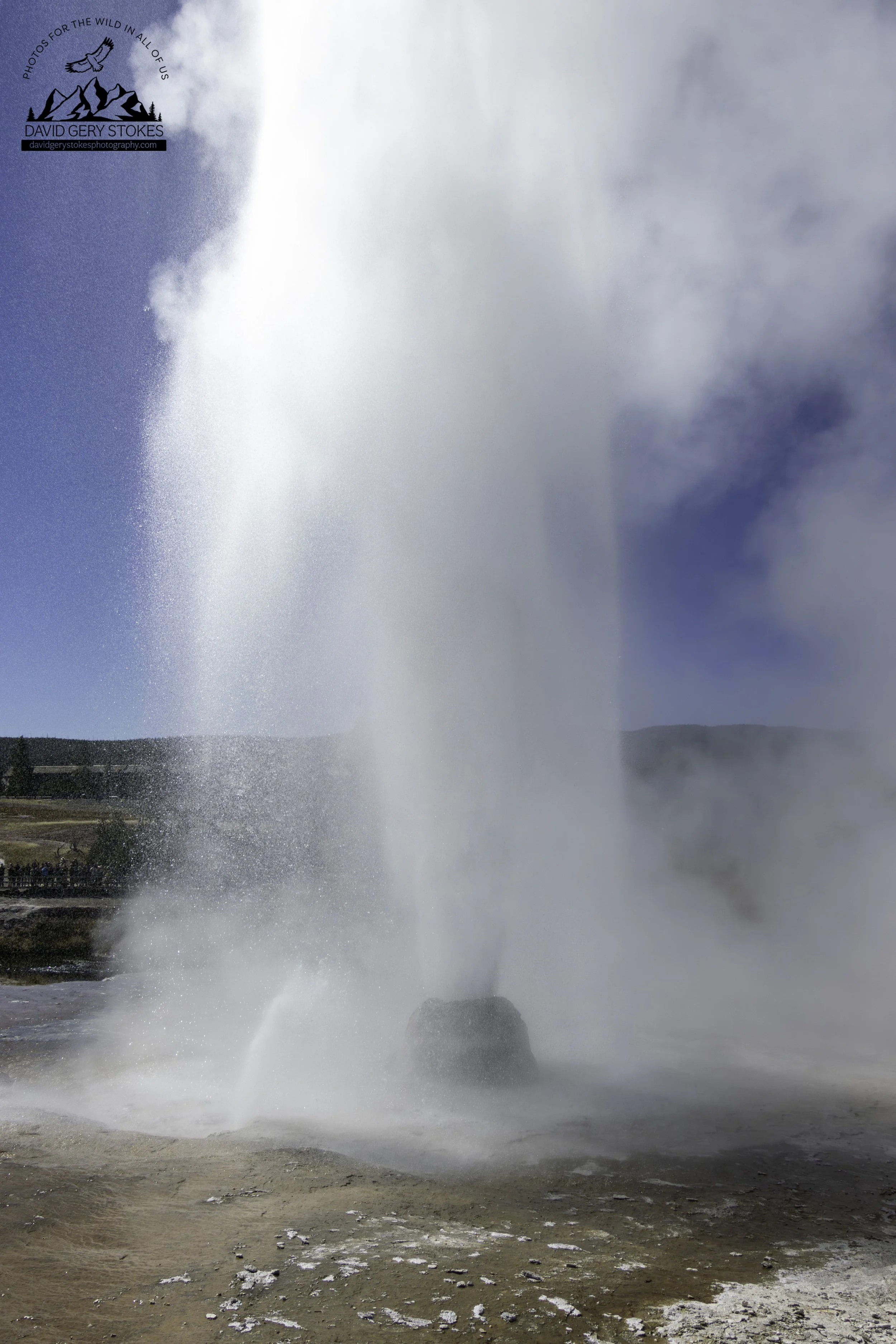 BeeHive_Geyser_YGT6_1347.jpg