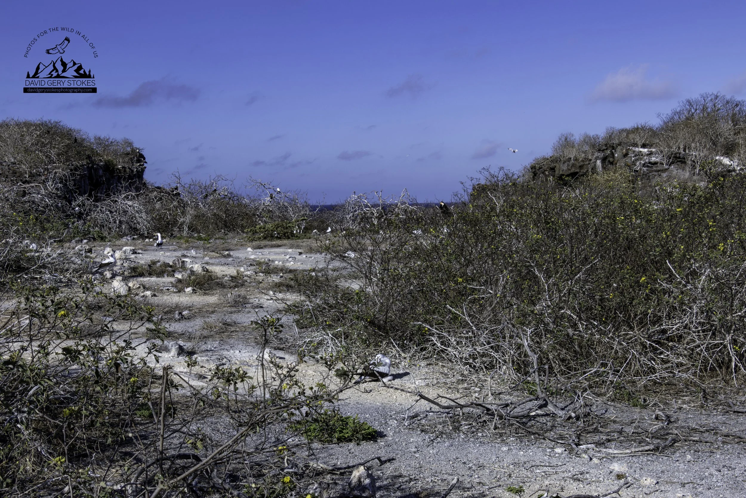 Darwin Bay, Genovesa Island.