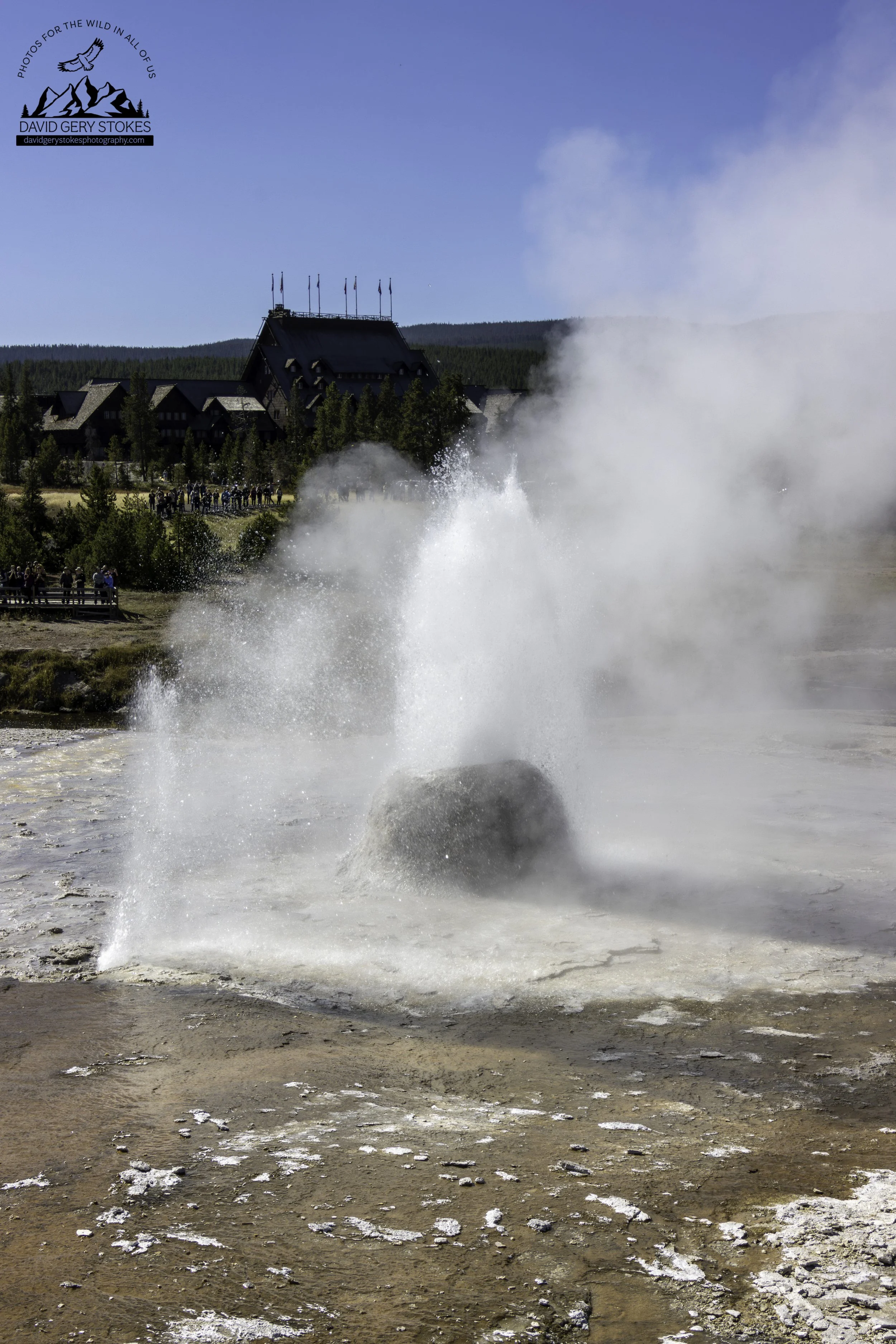 BeeHive_Geyser_YGT6_1341.jpg
