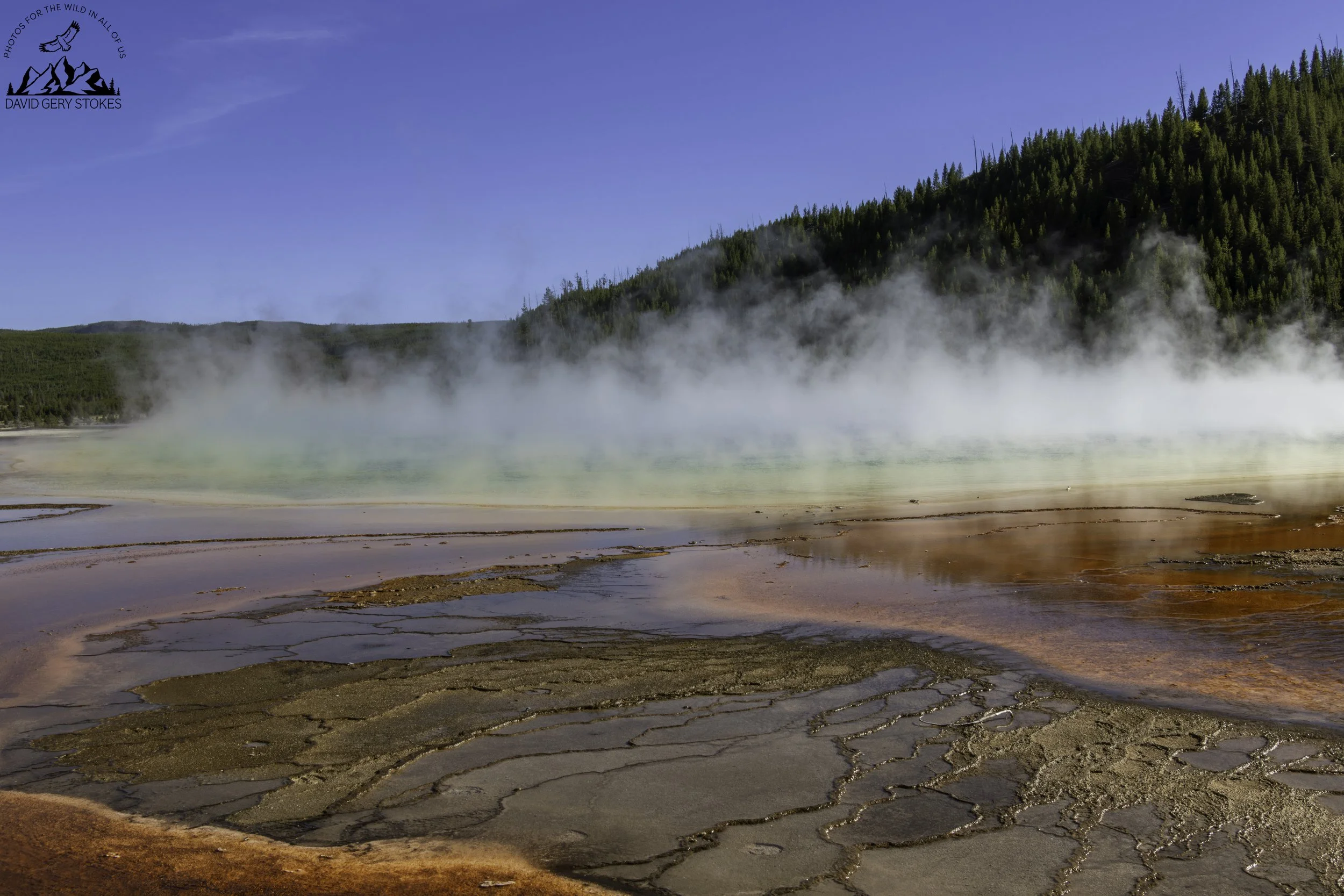Stream_Mist_Pool_YGT6_1469.jpg