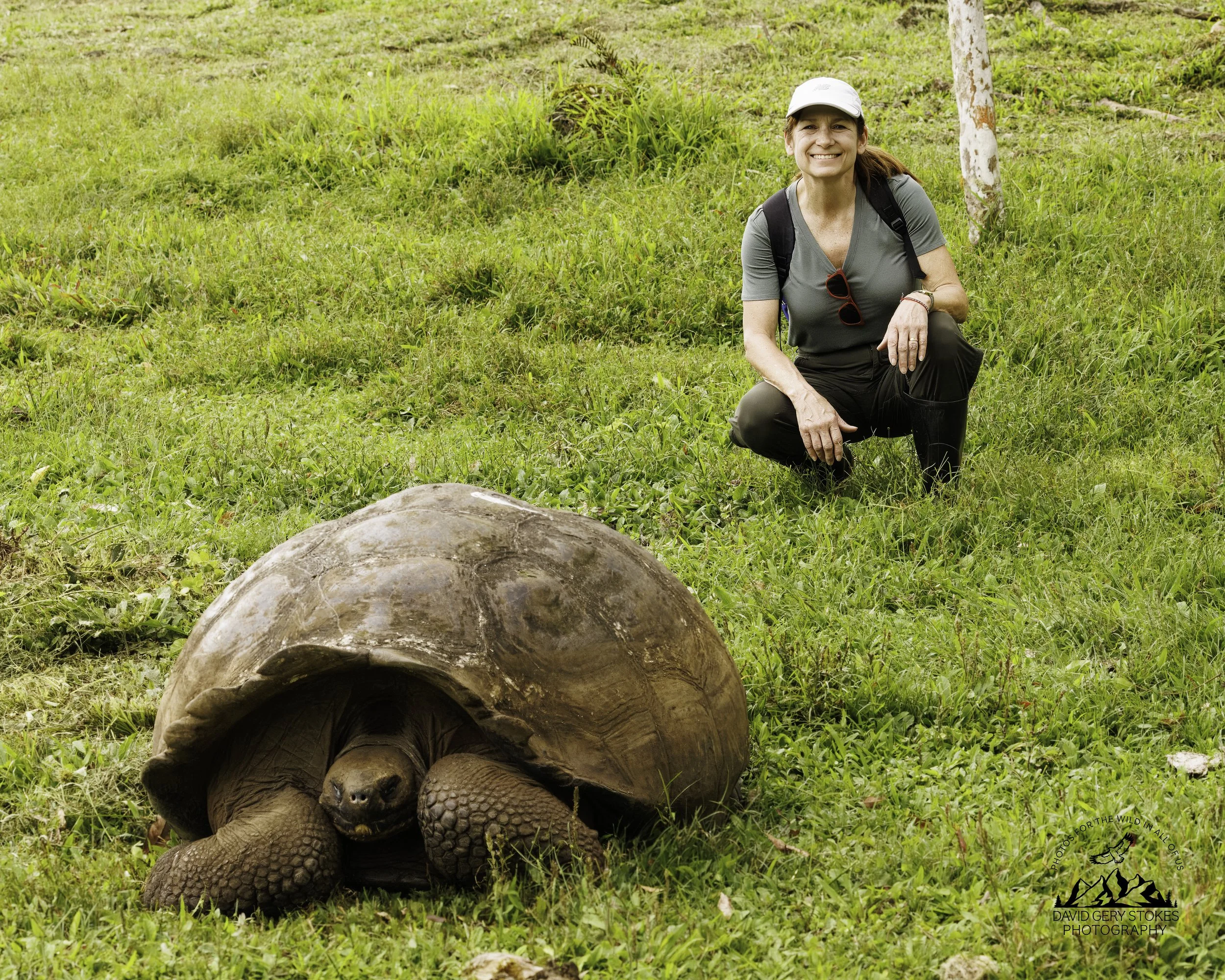 3193 Galapagos Giant Tortoise & Adventurer