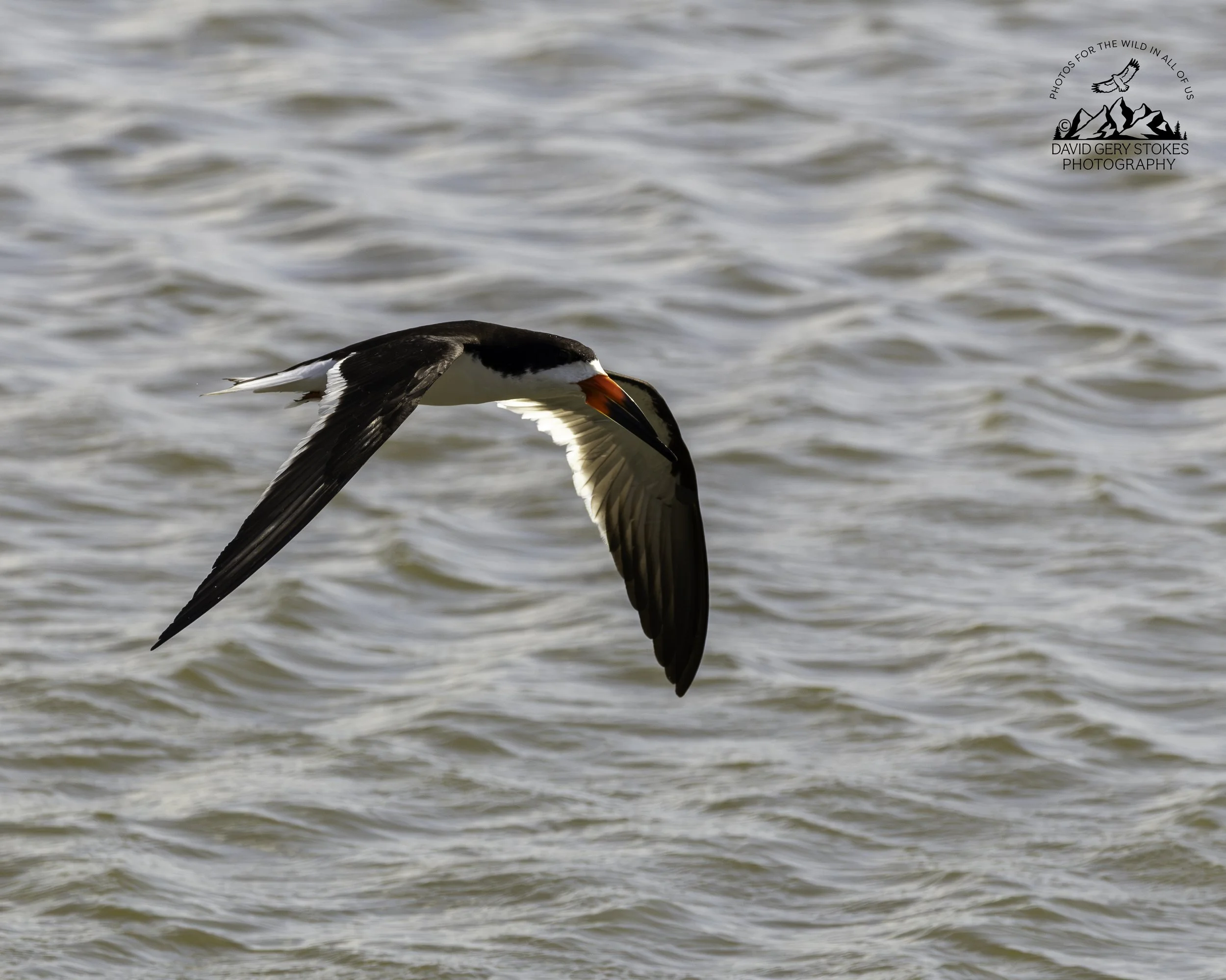BSkimmer_Inflight_EF_072926_3872.jpg