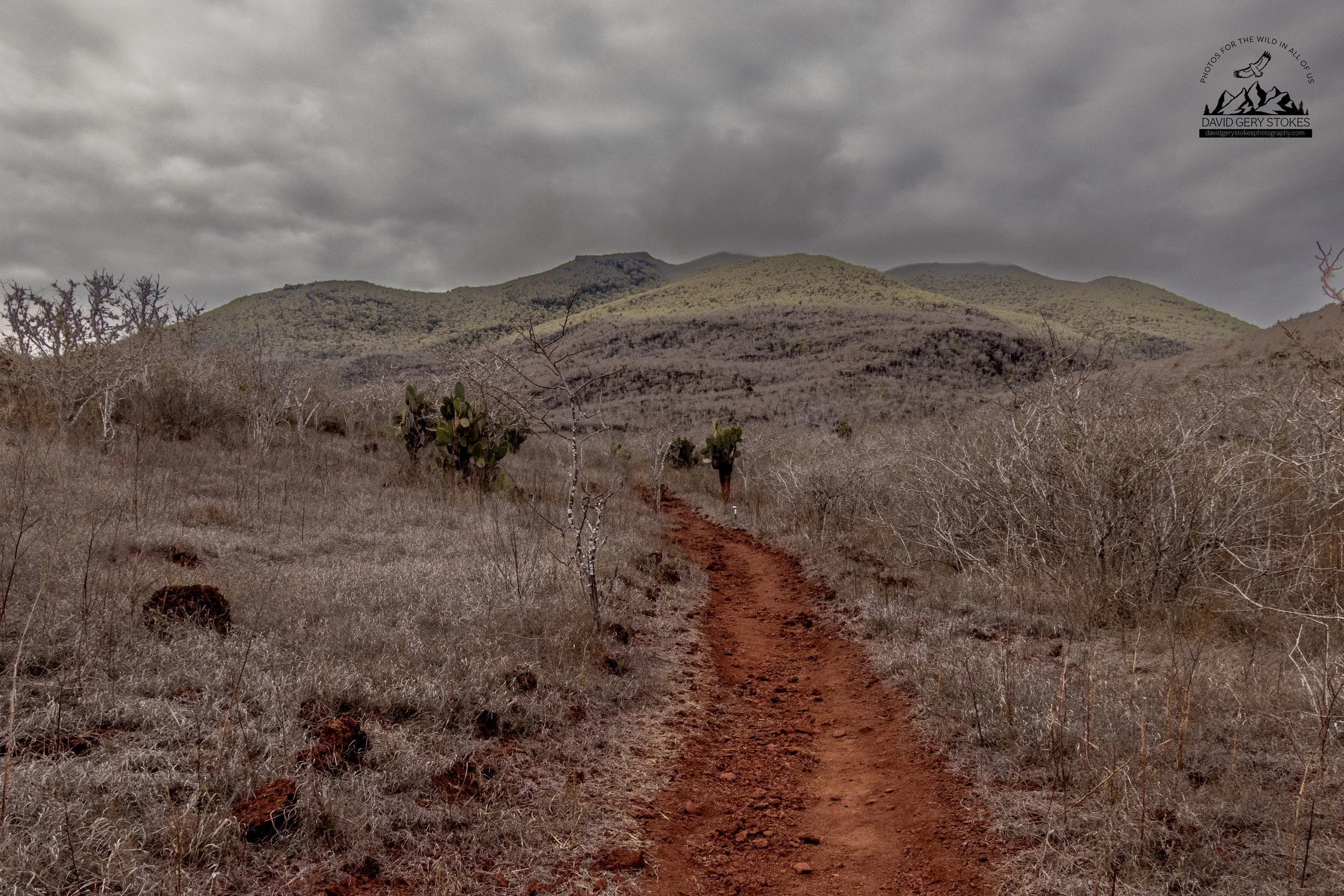 Rabida, Santiago Island.
