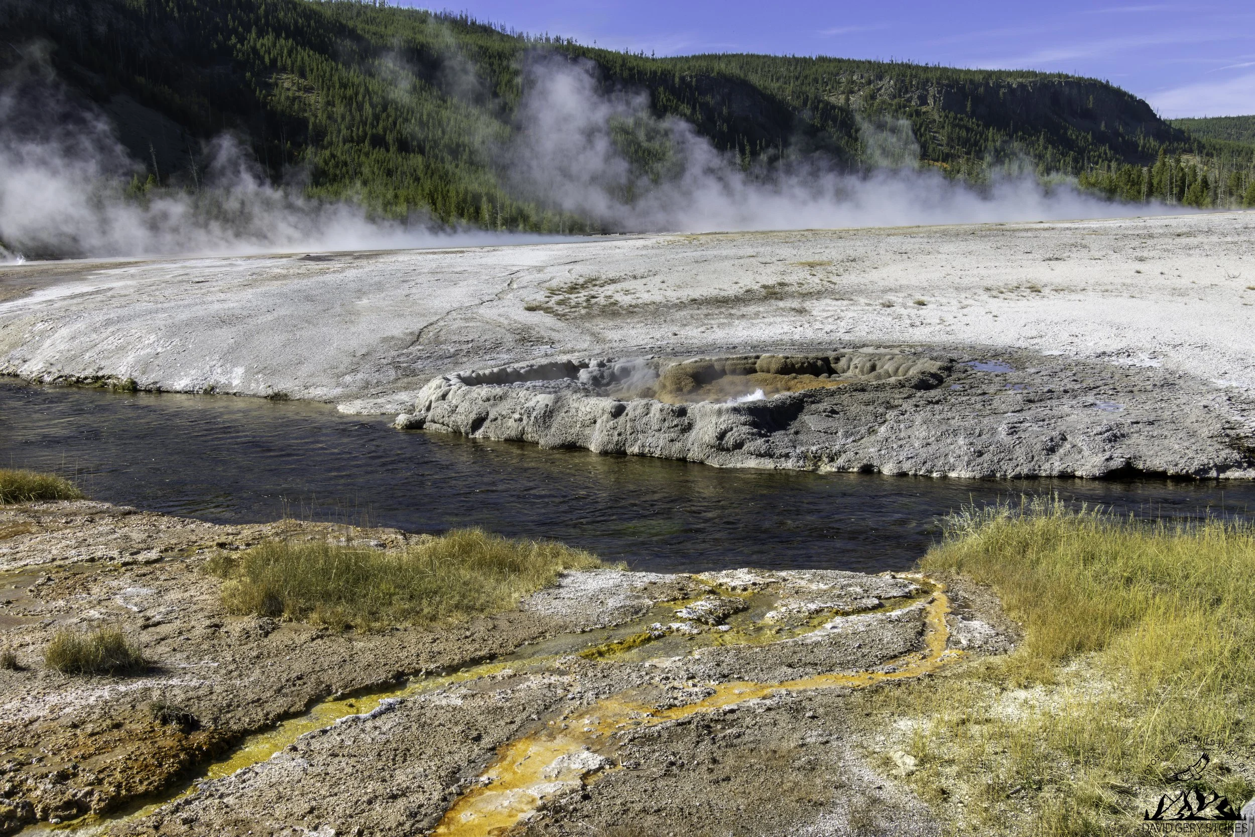 Stream_Steam_YGT6_1445.jpg