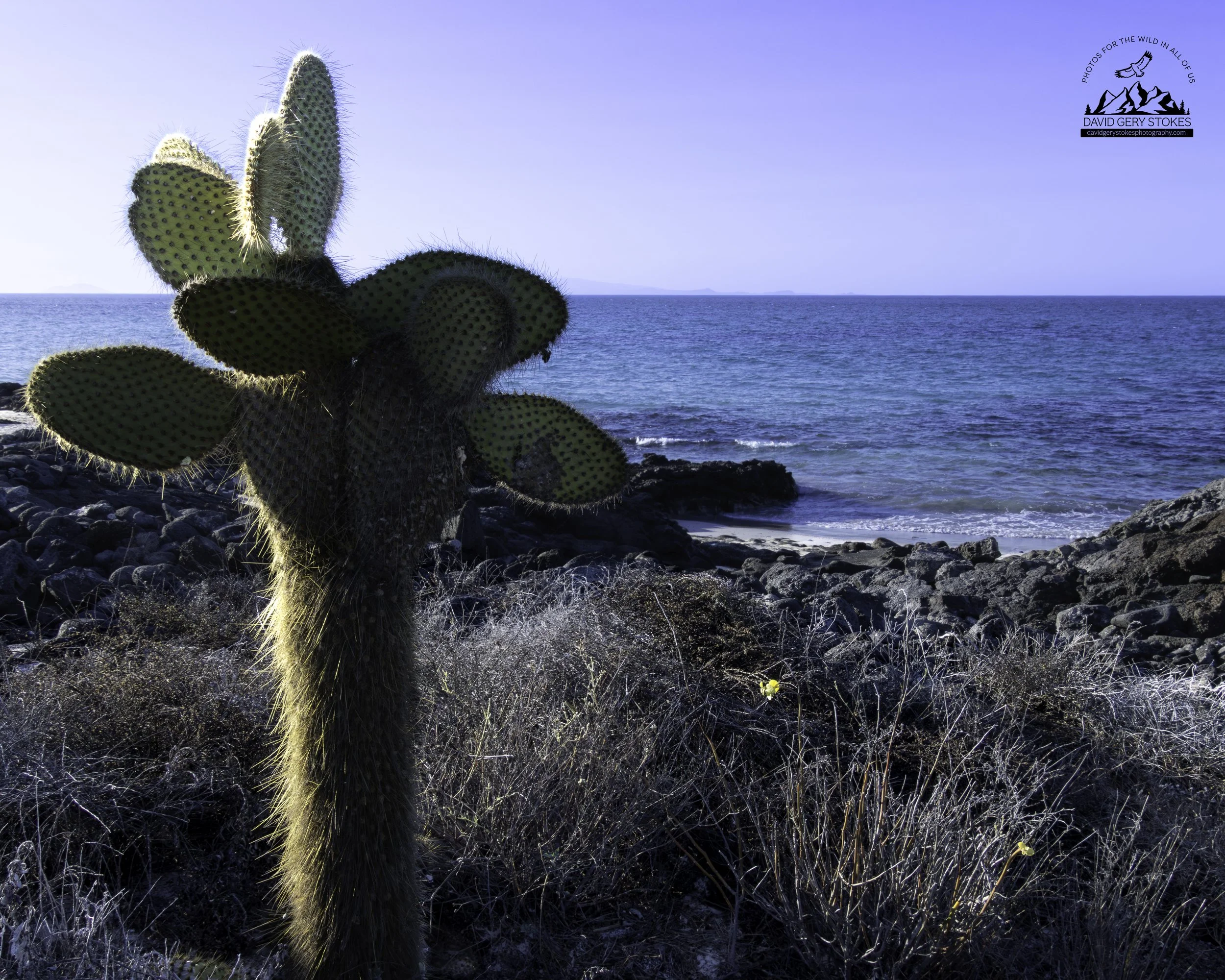 Las Bachas, Santa Cruz Island.