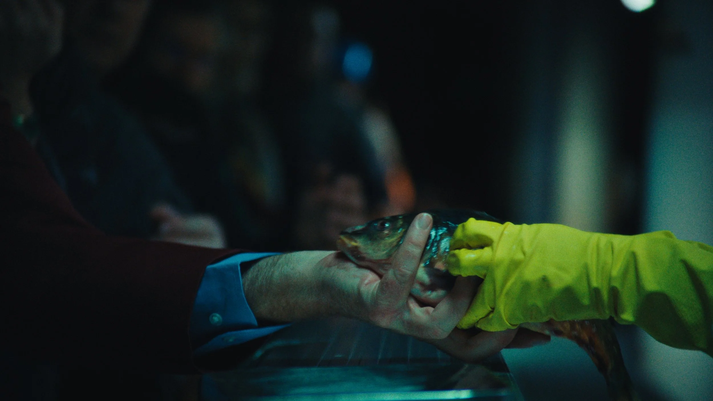 Still 2026-03-31 222945_1.1.1.jpg