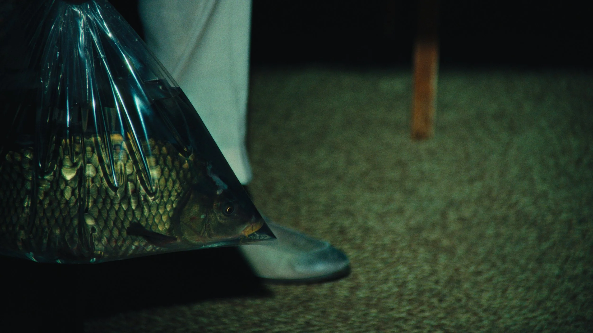 Still 2026-03-31 222945_1.1.6.jpg