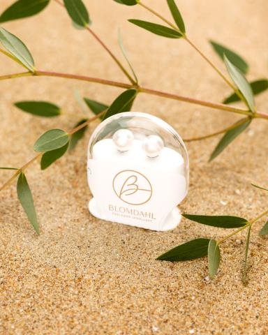 BlomdahlVerpakt - kopie.jpg