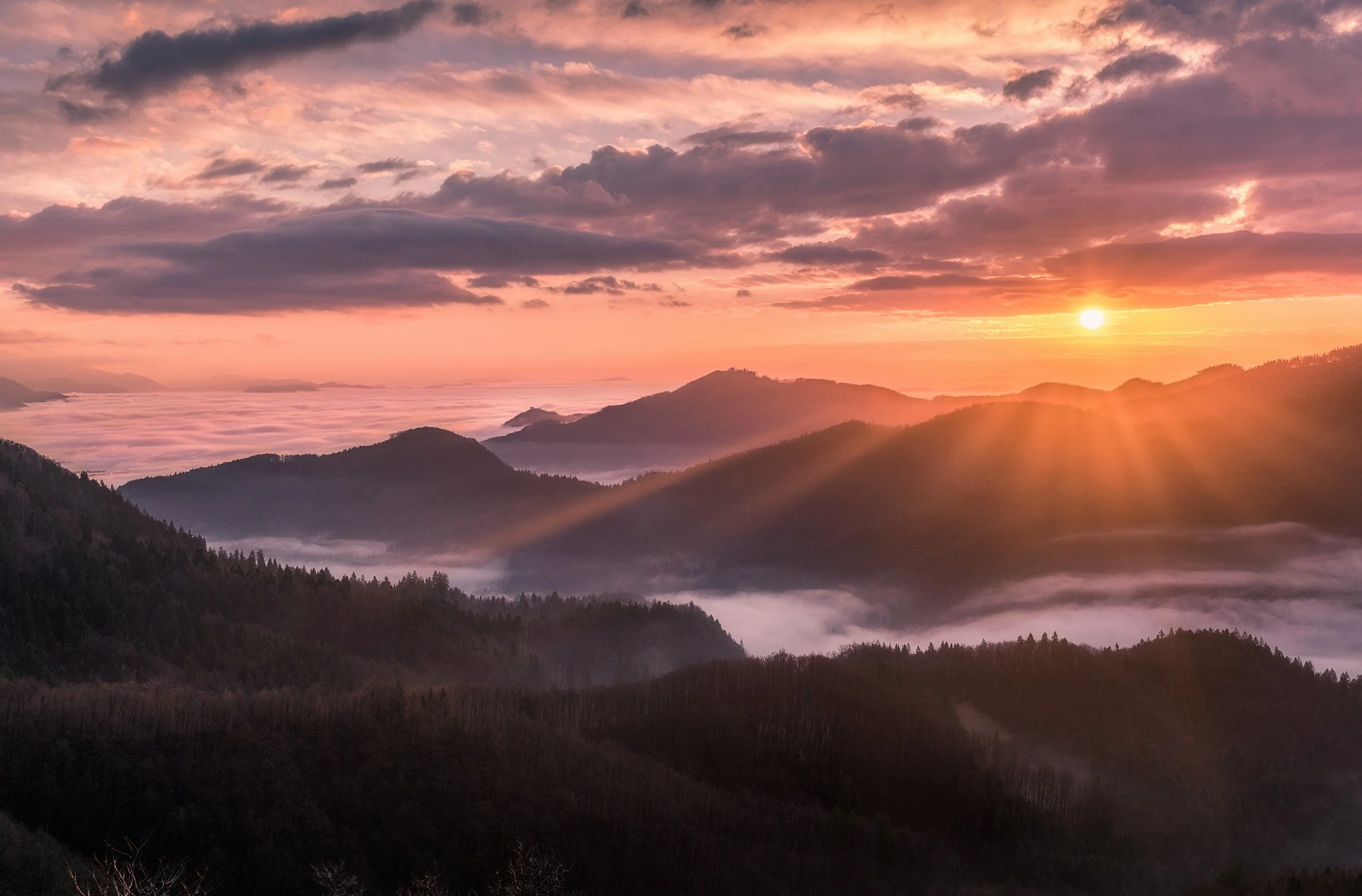EMDR Therapy in Denver, CO: A Path to Healing