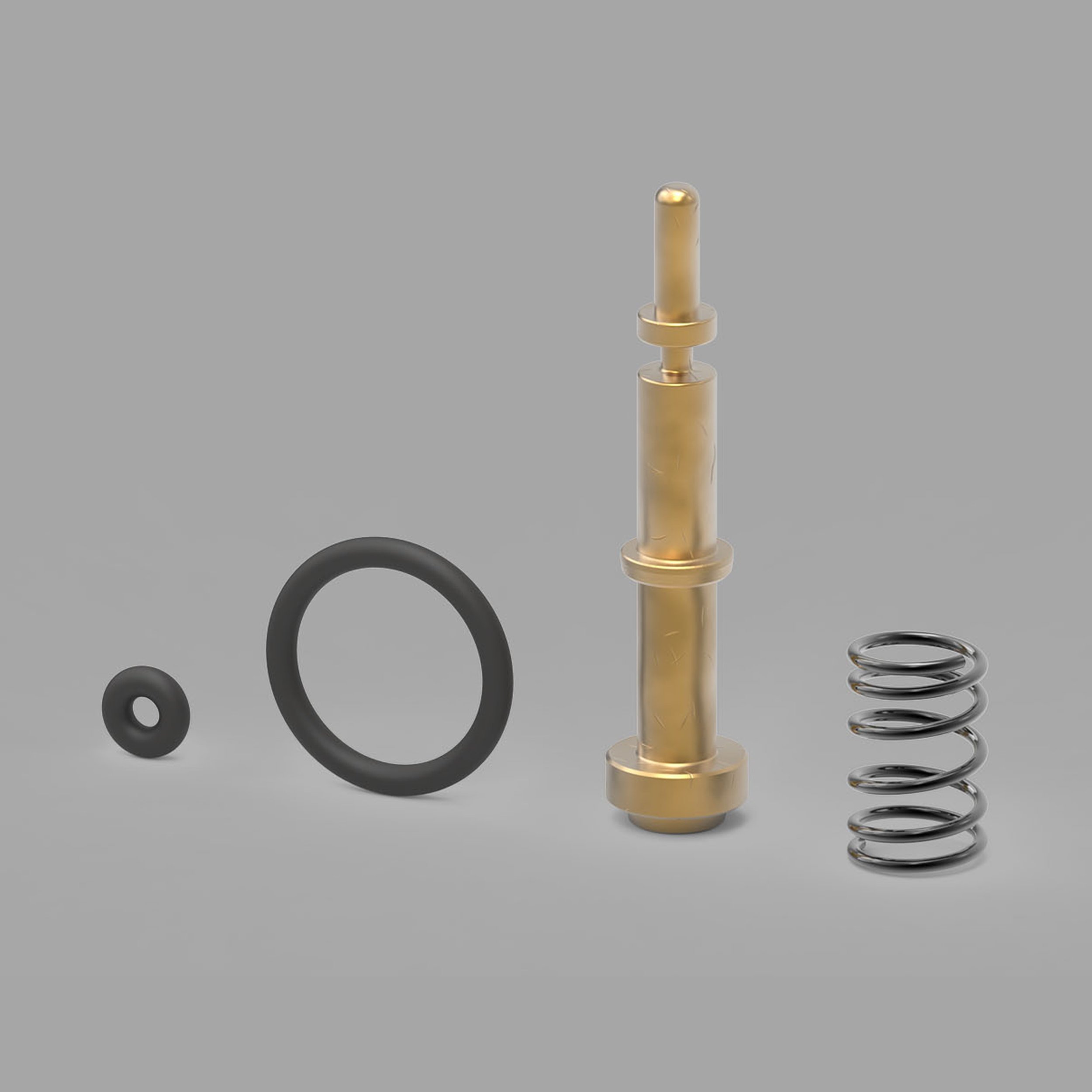 Valve Rebuild Kit