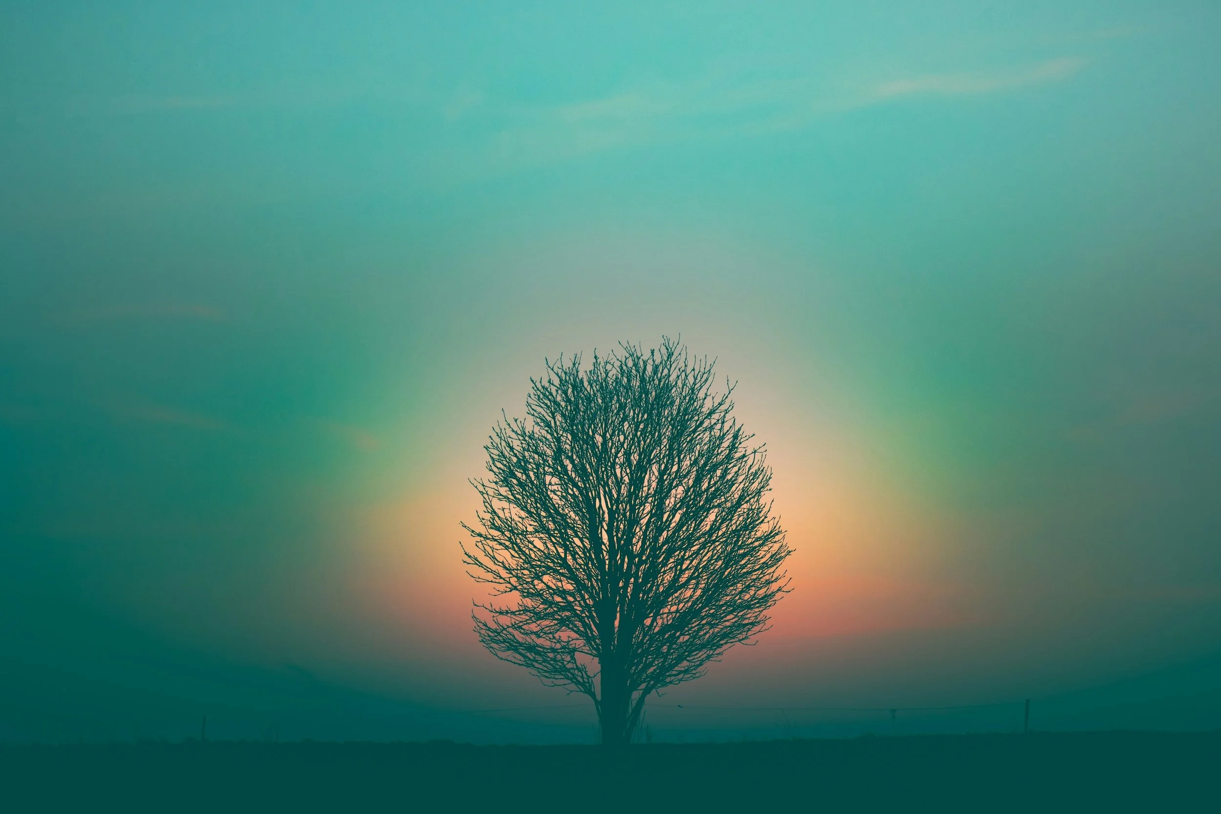 Altered states, sensory phenomena, and spiritual experiences in naturalistic settings