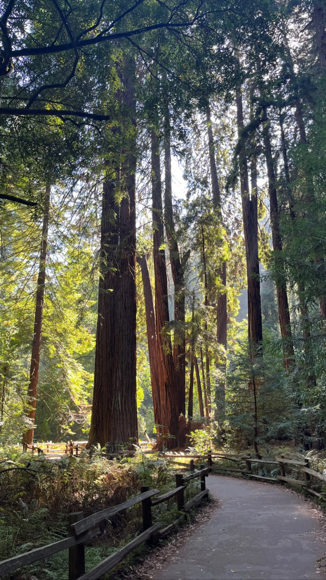 Postpartum Anxiety: Why It’s Common, How to Know When You Might Benefit From Therapy, and How Therapy Can Help