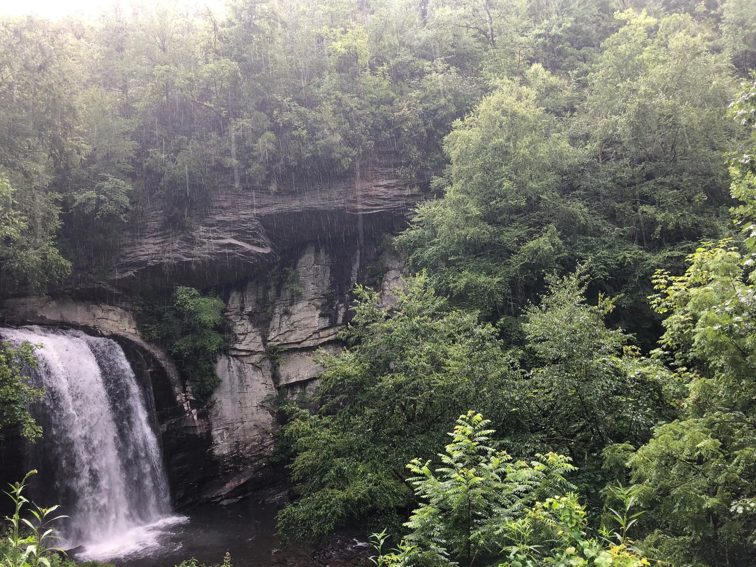 Hormones and Mental Health: PMDD, PCOS, Endometriosis, Perimenopause, and Shifts Across the Reproductive Lifespan