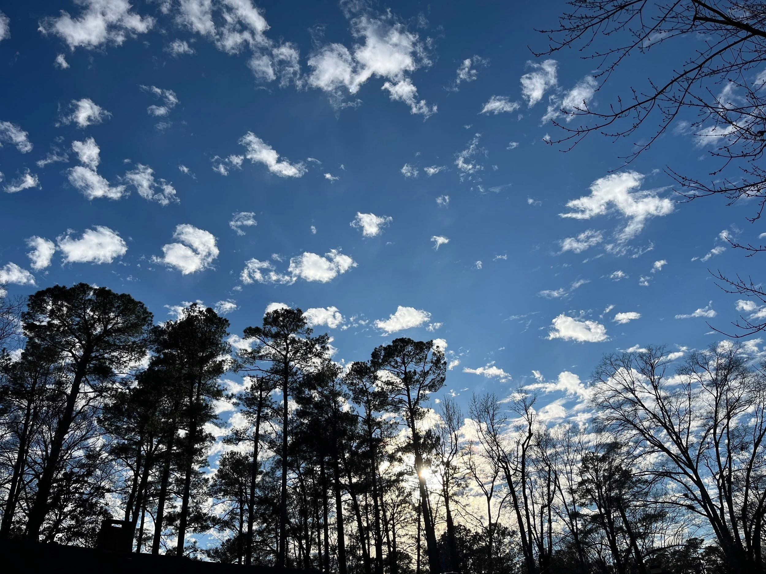 Therapy to Process Birth Trauma: Healing After a Frightening or Overwhelming Birth