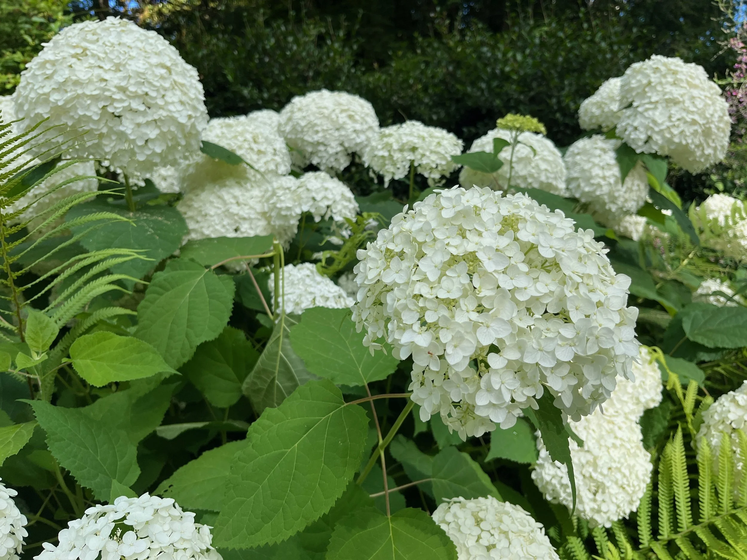 Parent Burnout, Mom Guilt, and Feeling Overwhelmed: Understanding Emotional Exhaustion in Parenthood