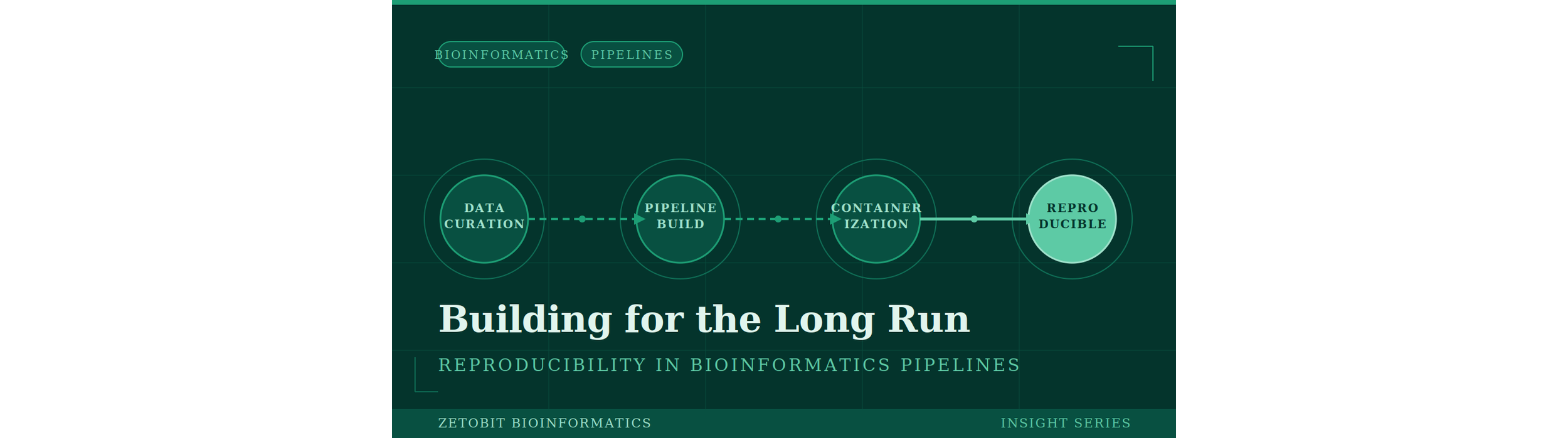 Building for the Long Run: Reproducibility in Bioinformatics Pipelines
