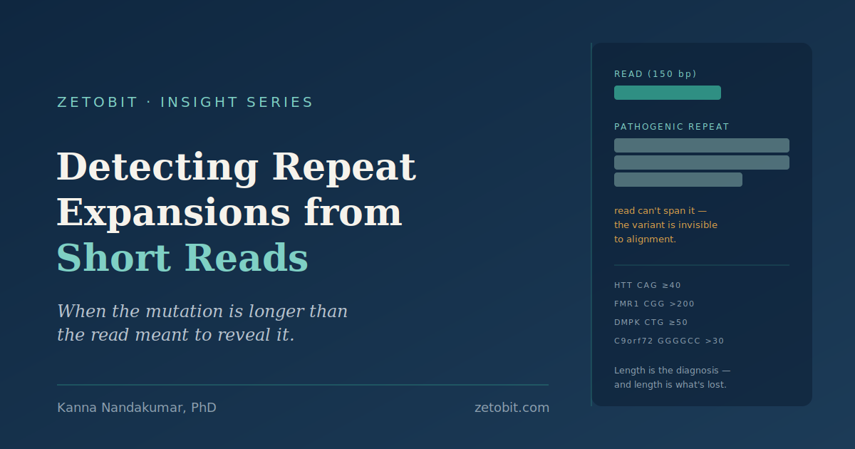 Detecting Repeat Expansions from Short Reads: Why the Pathogenic Allele Is Often Longer Than the Read That Should Reveal It