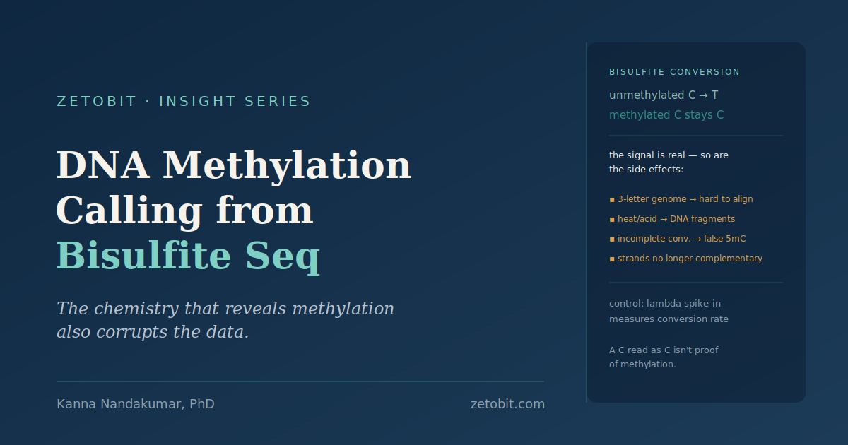 DNA Methylation Calling from Bisulfite Sequencing: Why the Chemistry That Reveals Methylation Also Corrupts the Data