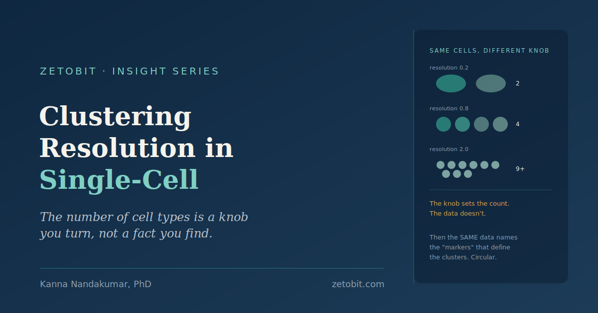Clustering Resolution in Single-Cell RNA-Seq: Why the Number of Cell Types Is a Parameter You Choose, Not a Fact You Discover