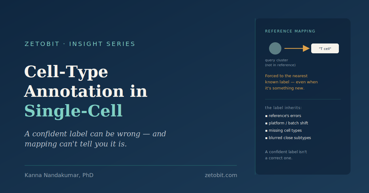 Cell-Type Annotation in Single-Cell RNA-Seq: Why a Confident Label Can Be Wrong, and Reference Mapping Can't Tell You It Is