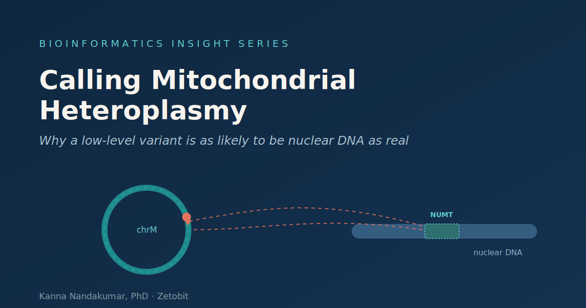 Calling Mitochondrial Heteroplasmy: Why a Low-Level Variant Is as Likely to Be Nuclear DNA as Real