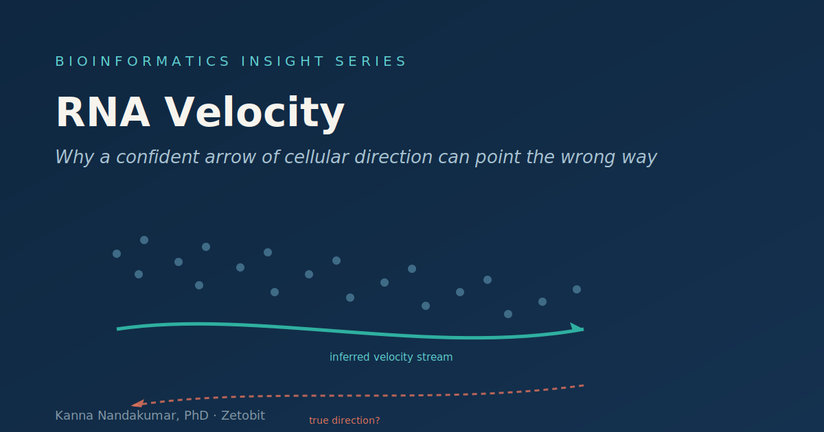 RNA Velocity: Why a Confident Arrow of Cellular Direction Can Point the Wrong Way