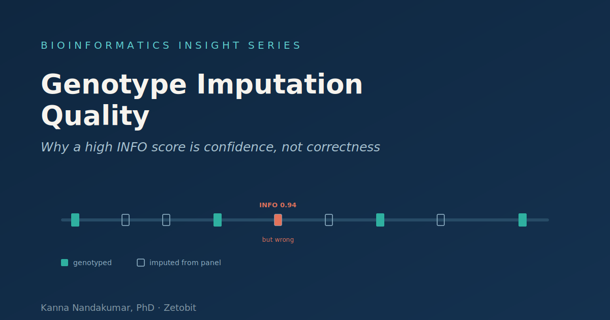 Genotype Imputation Quality: Why a High INFO Score Is Confidence, Not Correctness