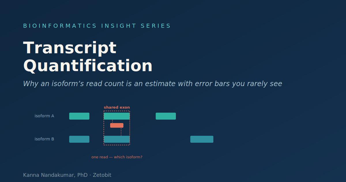 Transcript Quantification: Why an Isoform’s Read Count Is an Estimate With Error Bars You Rarely See