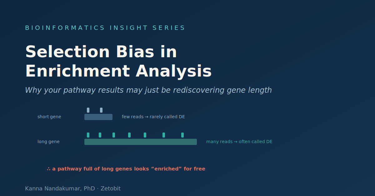 Selection Bias in Enrichment Analysis: Why Your Pathway Results May Just Be Rediscovering Gene Length