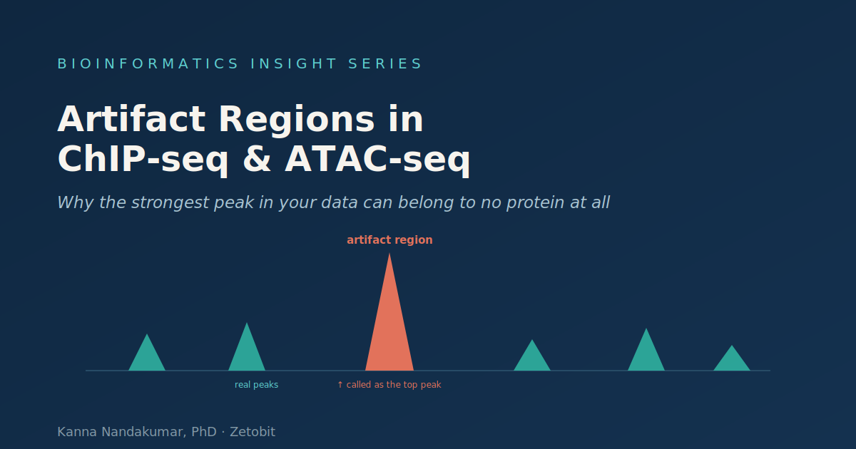 Artifact Regions in ChIP-seq and ATAC-seq: Why the Strongest Peak in Your Data Can Belong to No Protein at All