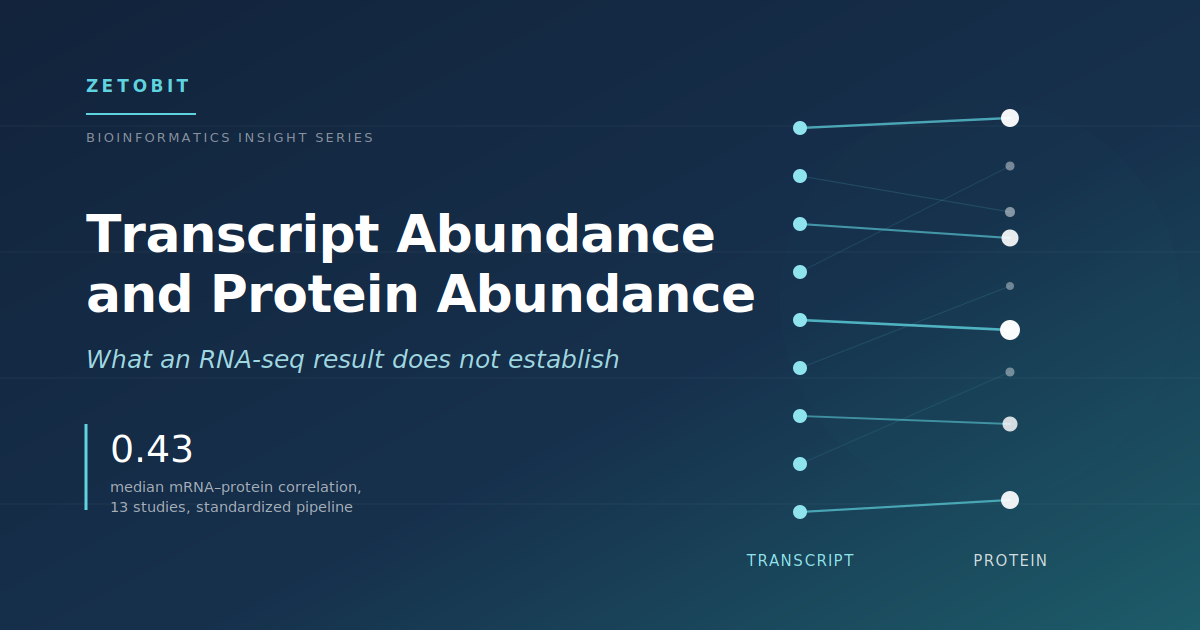 Transcript Abundance and Protein Abundance: What an RNA-Seq Result Does Not Establish