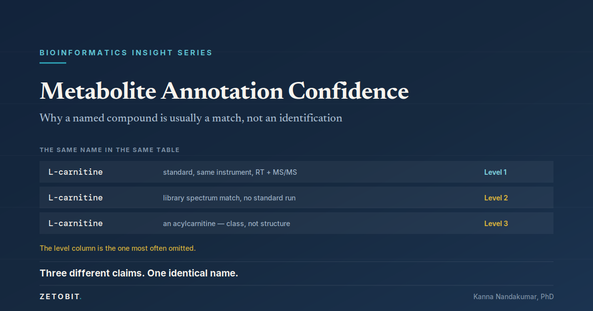 Metabolite Annotation Confidence: Why a Named Compound Is Usually a Match, Not an Identification