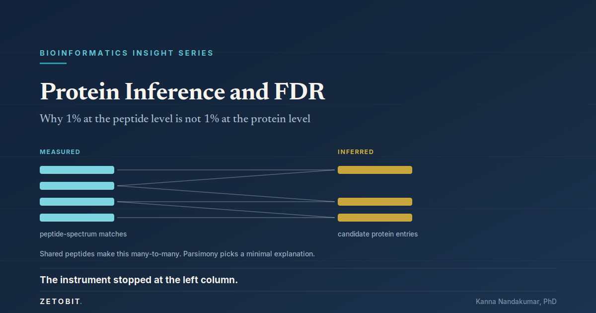 Protein Inference and FDR: Why 1% at the Peptide Level Is Not 1% at the Protein Level