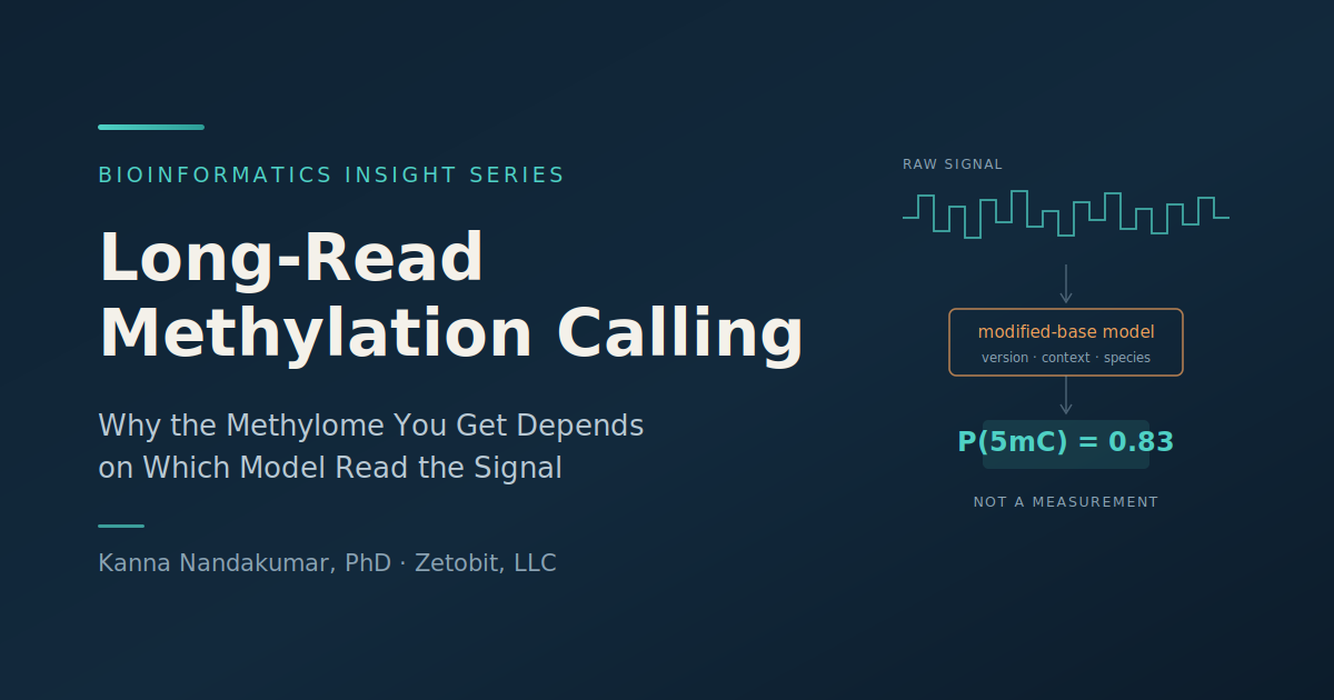 Long-Read Methylation Calling: Why the Methylome You Get Depends on Which Model Read the Signal
