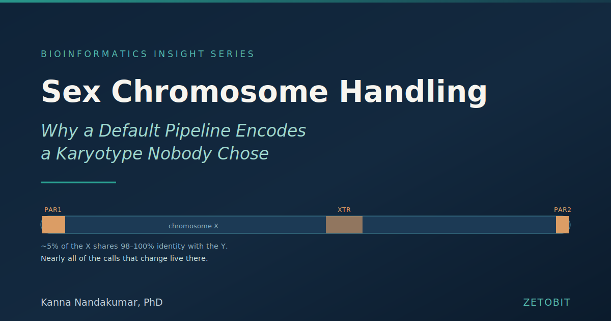 Sex Chromosome Handling