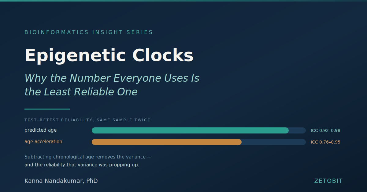 Epigenetic Clocks