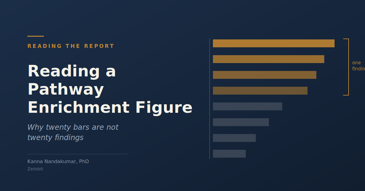 Reading a Pathway Enrichment Figure: Why Twenty Bars Are Not Twenty Findings