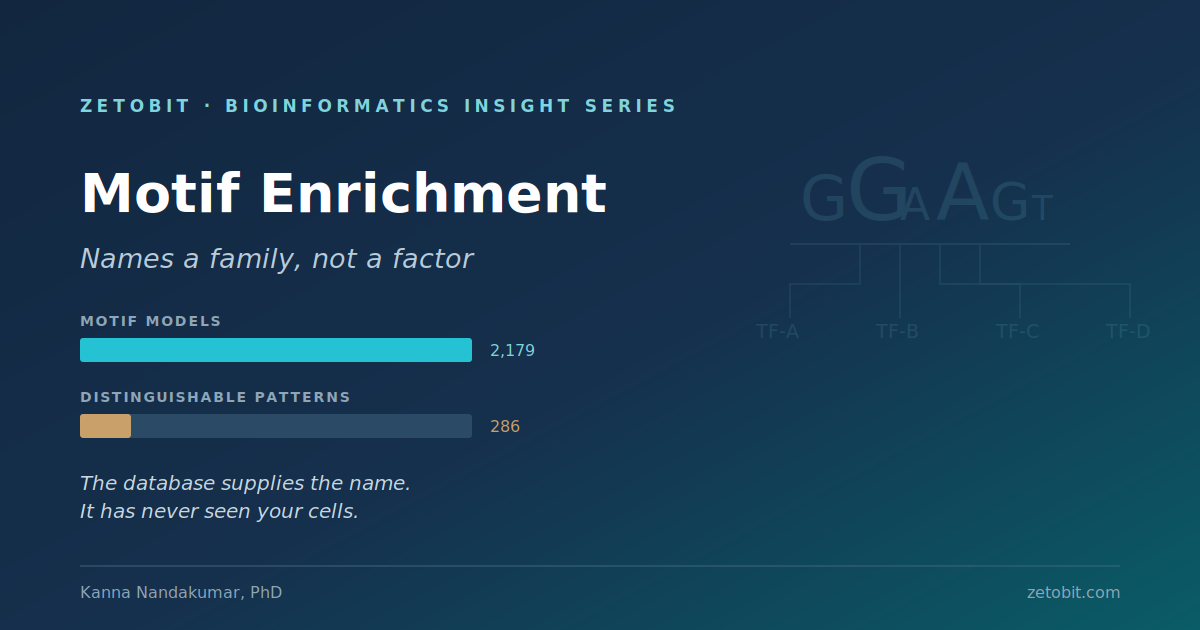 Motif Enrichment Names a Family, Not a Factor